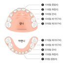 서울위치과의원 이미지