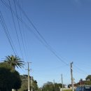 510커피 | [🇳🇿+504~510]