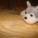 상구3리 이미지