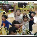 금당초병설유치원 이미지