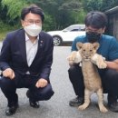 강원대학교 부속 동물병원 네이버블로그