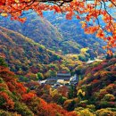 자연의선물 이미지