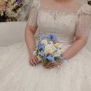 리플레르