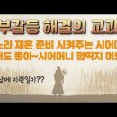 [가톨릭성경통독41강] 사랑과 믿음은 결국 만난다ㅣ룻기 이미지