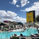 에그번 주식회사 이미지