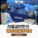 해양2로1 | 시흥 해양생태과학관 아이와 가볼만한곳 주말 나들이 추천 솔직후기