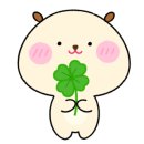 강쥐애견샵 이미지