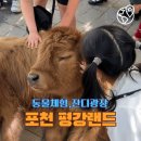 세븐일레븐 고산힐링점 | 포천 평강랜드 동물원, 경기 아이랑 갈만한 곳 테디베어 소 동물 먹이 체험 잔디광장까지