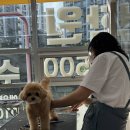 각하농장 이미지