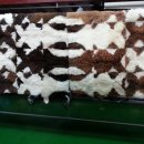 스타항균세탁 이미지