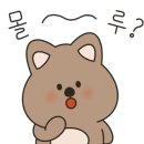 서랍을열다