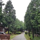 소초농업협동조합 장양지점 | 남해여행 편백자연휴양림 숲속의집 편백숲 캠핑장 후기