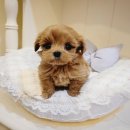 연수동 610-4 이미지