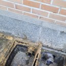 서진카센타 이미지