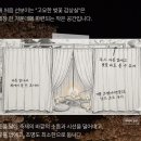언니화났닥 | 경주 대릉원 돌담길 벚꽃 축제 기본 정보 및 꿀팁
