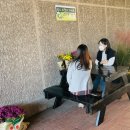 죽전2동 행정복지센터 이미지