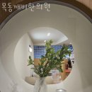 목동깨비한의원 | 양천구 목동 한의원 목동깨비한의원 진료시간 접근성 이용후기