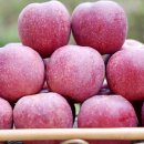 청화농원 이미지