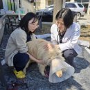 진보동물병원 이미지