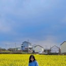 영신농장 이미지