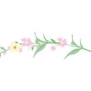 피아트라