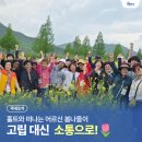 어르신이 행복한 세상 | 🌸고립 대신 소통으로, 홀트와 함께 떠난 어르신들의 봄 나들이 후기