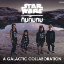 펫라인유통 이미지