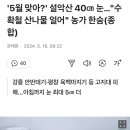 5월 설악에 내린 눈... 이미지