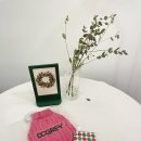 도그레이 이미지