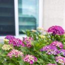 서광서보건진료소 이미지