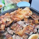 울타리식당 - 속초시 | 울타리식당