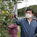 진흥2농장 이미지