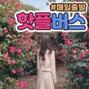 제주포인트투어 이미지