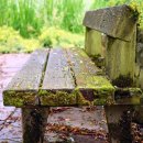 개미공원 근처 이미지