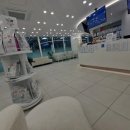 다나동물의료센터 이미지