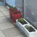 삼주농장 이미지