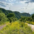 무릉공원 주차장 이미지