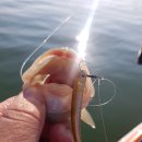 스피드카 이미지