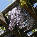 봉화 궁도장 이미지