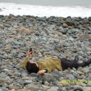 고흥봉황정 이미지