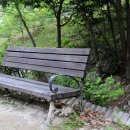 마감산산림욕장 네이버블로그