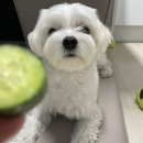 우성농장 이미지