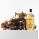 도그워시 이미지