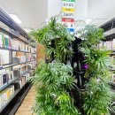 메아리작은도서관 이미지