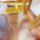 송정초교 병설유치원 이미지