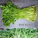 향긋한 청도미나리 1kg 9,000원 한시적 할인! 이미지