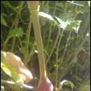 이찬농장 이미지