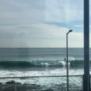 물총칼국수 이미지