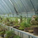 야생화단지내 이미지