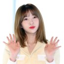 로하글로벌 이미지